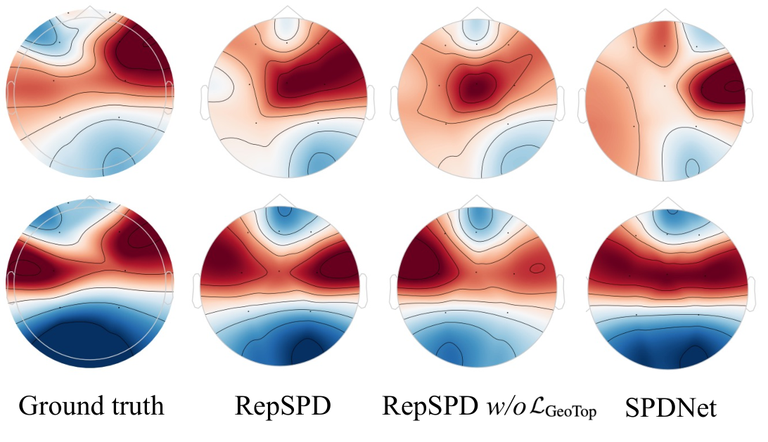 Figure 5: Visualization of topological map of brain across different methods. Compared to SPDNet and RepSPD w/o proposed \(\mathcal{L}_{GeoTop}\) , our RepSPD more accurately restores the functional spatial pattern observed in the ground truth.