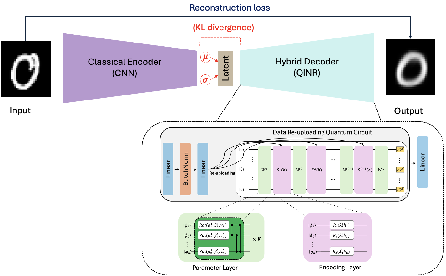 Модель QINR-VAE/AE формирует выходные данные посредством декодера, использующего латентный вектор, с последующим вычислением ошибки реконструкции между входным и выходным изображениями, а в варианте VAE дополнительно рассчитывается расхождение Кулбака-Лейблера [latex]KL[/latex], что обеспечивает оптимизацию всей системы.
