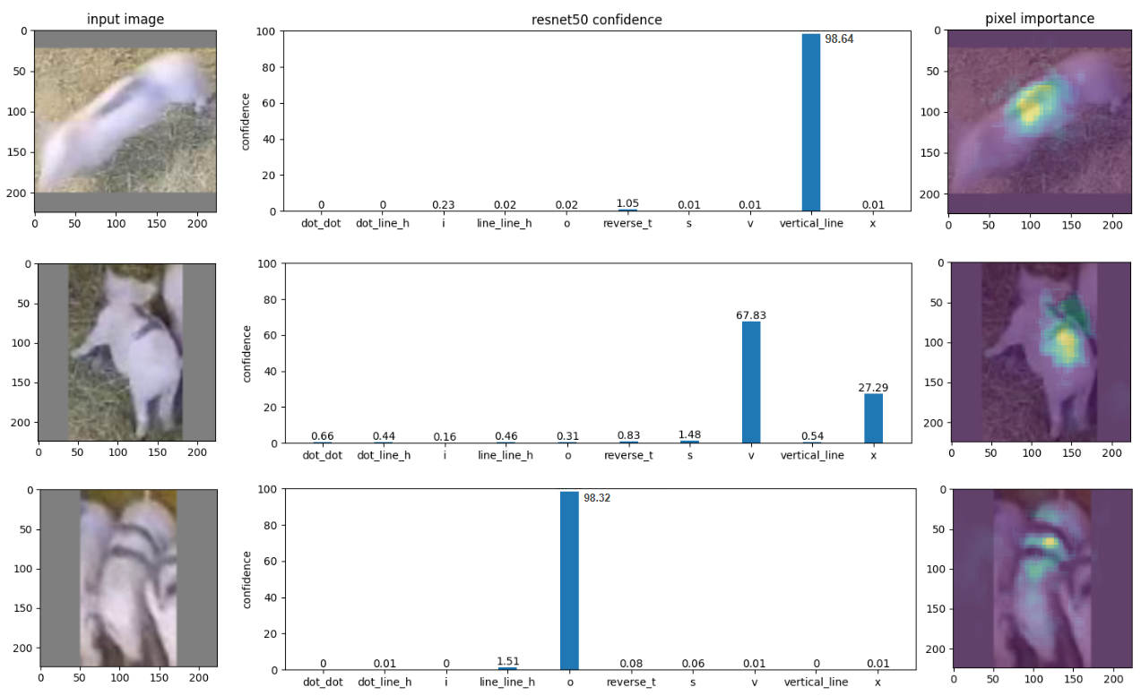The system exhibits behavior-based errors manifesting as motion blur, inaccurate angle estimation, and instances of occlusion.
